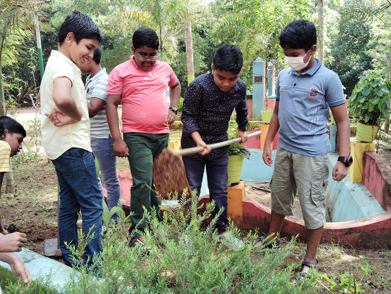 Environment day celebration
